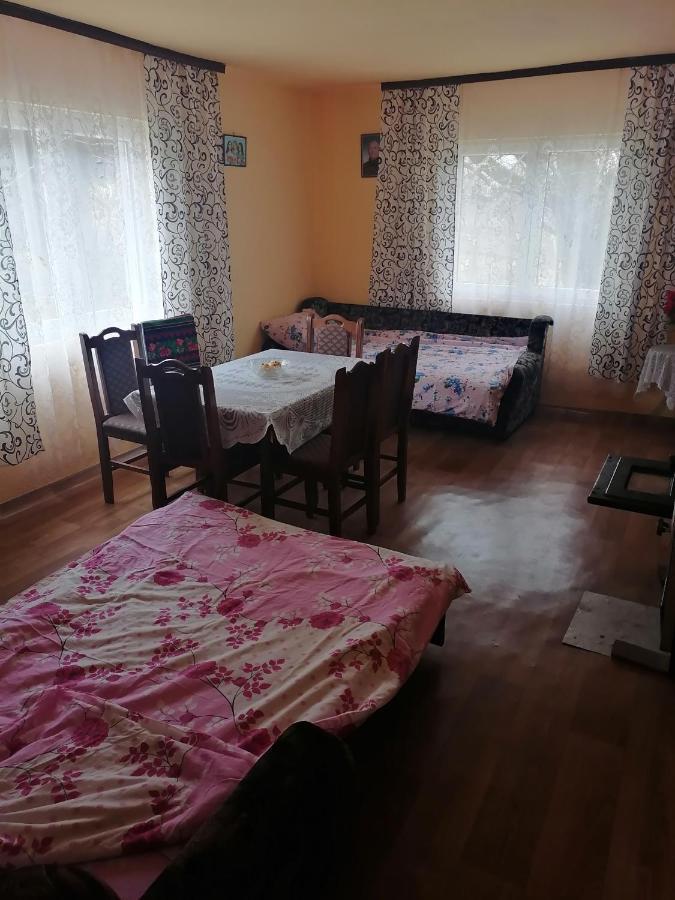 Etno Kuca Badejevic Villa Plavna Exterior photo